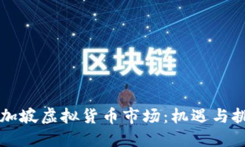 新加坡虚拟货币市场:机遇与挑战