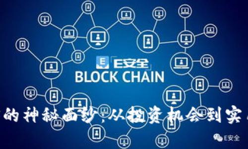 揭开虚拟货币ELS的神秘面纱：从投资机会到实用价值的深度解析