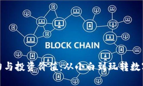 探索虚拟币的魅力与投资价值：从小白到玩转数字货币的实用指南