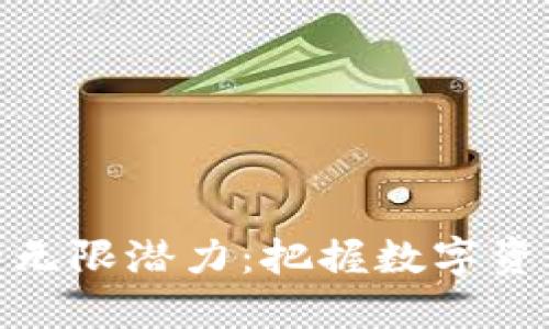 探寻虚拟币的无限潜力:把握数字资产未来的钥匙