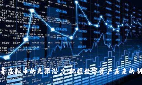 探寻虚拟币的无限潜力:把握数字资产未来的钥匙
