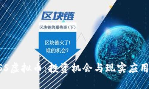 深入了解BSS虚拟币:投资机会与现实应用的全面分析