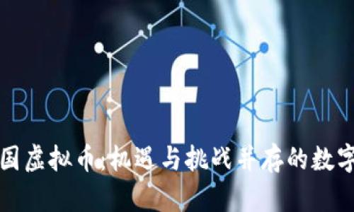 深入了解中国虚拟币：机遇与挑战并存的数字金融新前沿