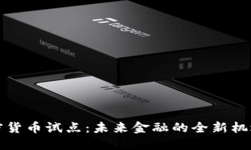 央行加密货币试点:未来金融的全新机遇与挑战