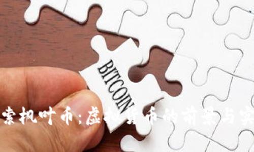 探索枫叶币:虚拟货币的前景与实践