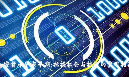 加密货币牛市早期:把握机会与挑战的实用指南