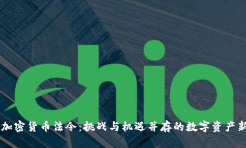 了解加密货币法令:挑战与机遇并存的数字资产新纪元