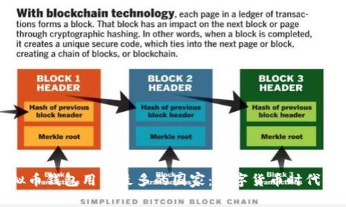 全球虚拟币钱包用户最多的国家:数字货币时代的领跑者