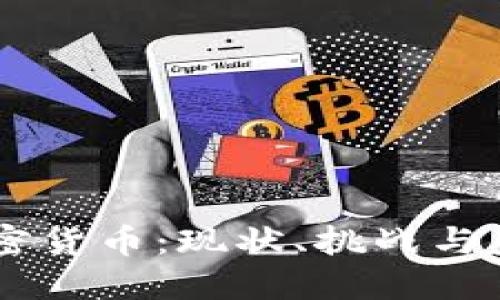 印度加密货币:现状、挑战与未来展望
