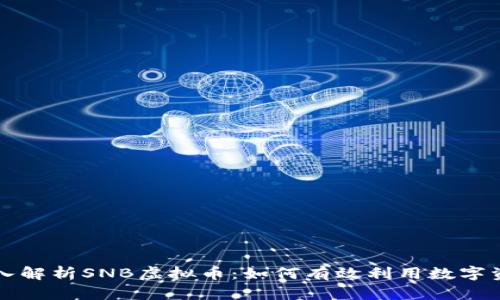 深入解析SNB虚拟币：如何有效利用数字资产