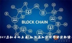  探索SKY虚拟币的未来：如何在加密世界中获取实