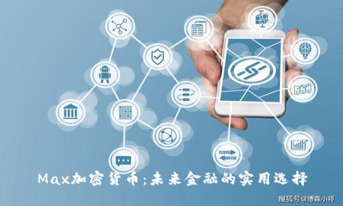 Max加密货币：未来金融的实用选择