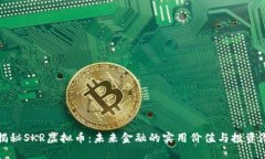 : 揭秘SKR虚拟币：未来金融的实用价值与投资潜力