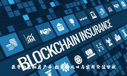 最牛的虚拟房产币:投资新风口与实用价值分析