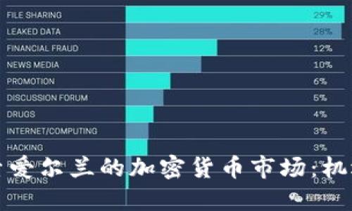 深入探索爱尔兰的加密货币市场：机遇与挑战