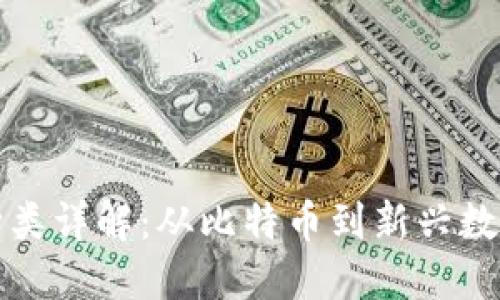 货币式加密货币种类详解:从比特币到新兴数字货币的实用价值