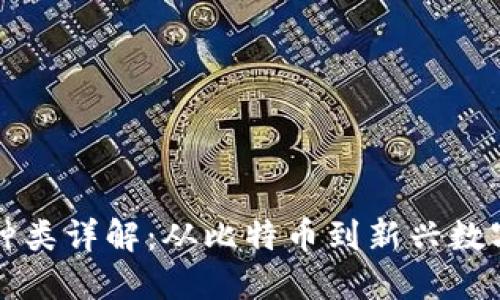 货币式加密货币种类详解:从比特币到新兴数字货币的实用价值
