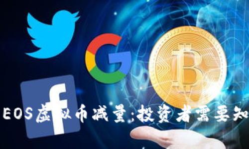 深入解析EOS虚拟币减量：投资者需要知道的一切