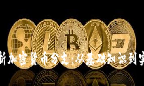 全面解析加密货币分支:从基础知识到实用技巧