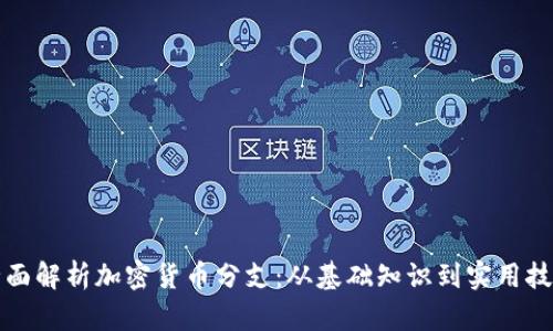 全面解析加密货币分支:从基础知识到实用技巧