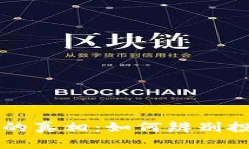 虚拟币热潮下的真相：如何辨别投资机会与噱头