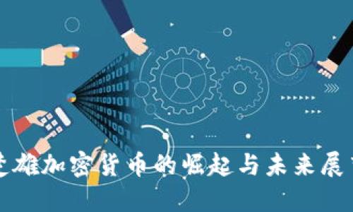 楚雄加密货币的崛起与未来展望