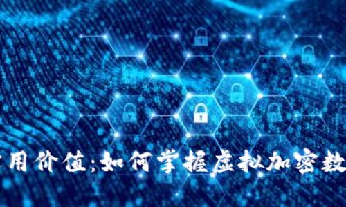 比特币的实用价值：如何掌握虚拟加密数字币的未来