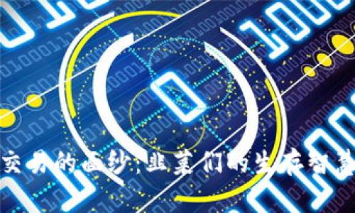 揭开虚拟币交易的面纱：韭菜们的生存智慧与实用价值