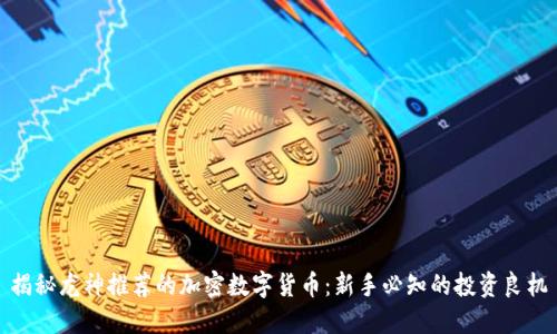 揭秘龙神推荐的加密数字货币：新手必知的投资良机