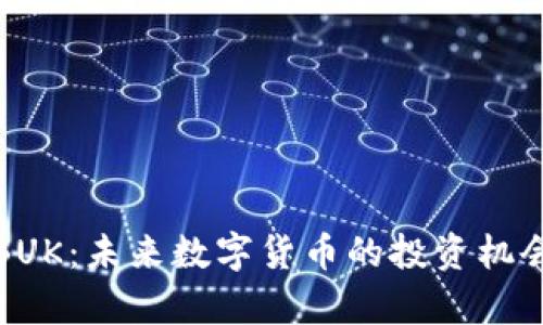 探索虚拟币BUK：未来数字货币的投资机会与风险分析