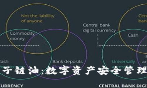 波宝钱包子链油：数字资产安全管理的新利器
