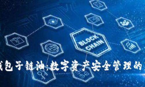 波宝钱包子链油：数字资产安全管理的新利器