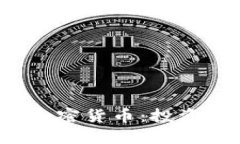 2023年最活跃的加密货币：投资者必知的实用指南