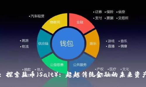 : 探索盐币（Salt）: 超越传统金融的未来资产