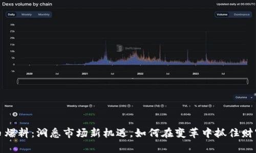虚拟币爆料：洞悉市场新机遇，如何在变革中抓住财富机遇