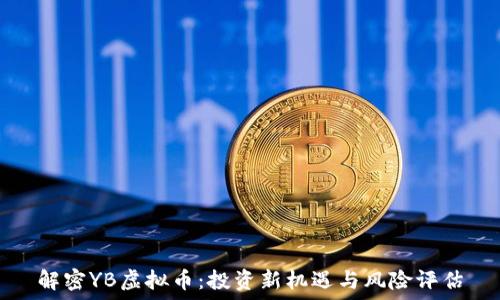   
解密YB虚拟币：投资新机遇与风险评估