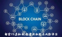   解密YB虚拟币：投资新机遇与风险评估