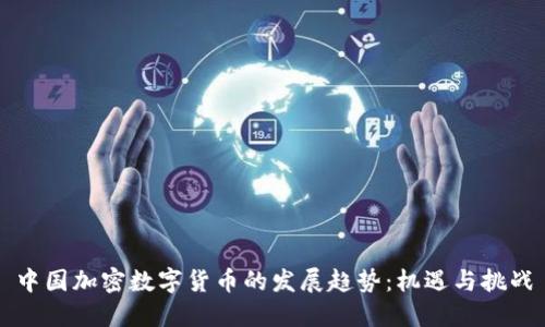 中国加密数字货币的发展趋势：机遇与挑战