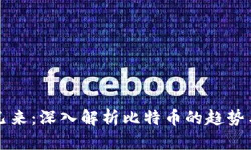 未来已来：深入解析比特币的趋势与前景