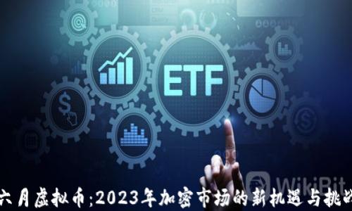 
六月虚拟币：2023年加密市场的新机遇与挑战