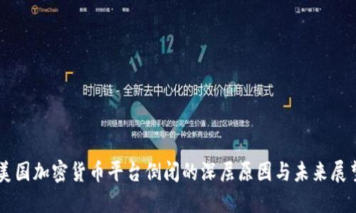 美国加密货币平台倒闭的深层原因与未来展望