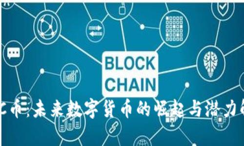 MKC币：未来数字货币的崛起与潜力解析