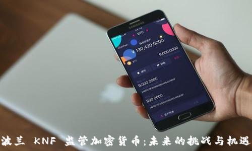  
波兰 KNF 监管加密货币：未来的挑战与机遇